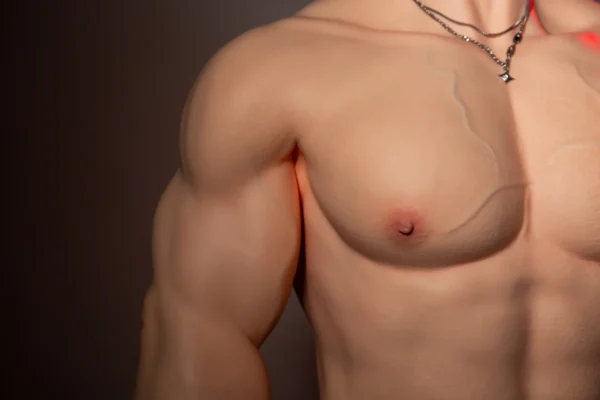 Troy - 175cm/5ft9 Gay Fitness Companion Silicone Sex Doll