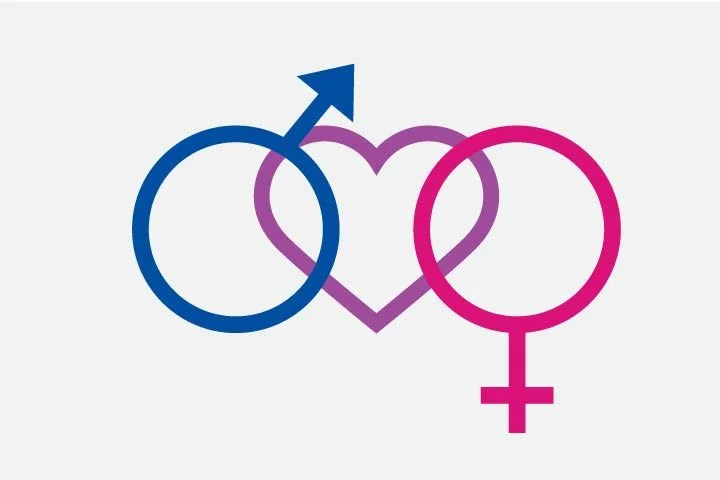 バイセクシャル男性人形の探求