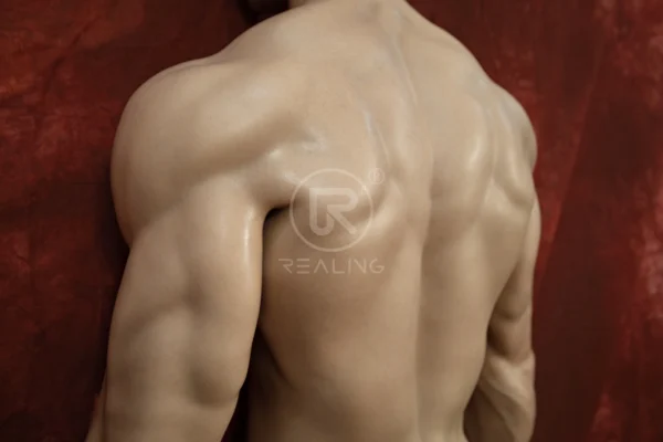 MALE SEX DOLLS - REALING502 180cm (5'11") Gay Men Sex Doll Kylin – Lifelike Silicone Male Sex Dolls